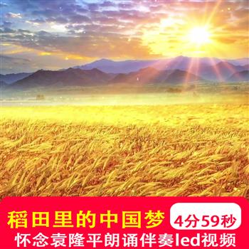 稻田里的中国怀念袁隆平学生朗诵演讲比赛led大屏幕视频背景制作