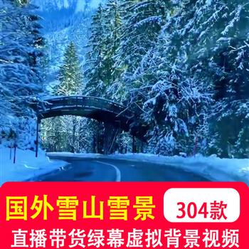 国外雪山雪景北欧洲小镇冬天下雪风景开车走拍竖屏直播绿幕短视频