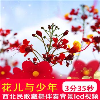 花儿与少年青海西北民歌青海湖藏舞晚会演出乐器演奏舞台背景视频