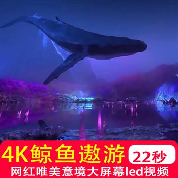 4K高清 唯美意境鲸鱼遨游太空餐厅KTV酒吧LED大屏幕天幕 有声视频