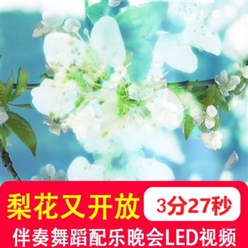梨花又开放 伴奏舞蹈配乐晚会演出表演舞台LED大屏幕视频背景素材
