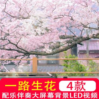 温奕心 一路生花 唯美浪漫樱花舞台LED大屏背景视频原唱伴奏制作