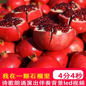 我在一颗石榴里看见了我的祖国 歌朗诵配乐伴奏舞台背景视频制作
