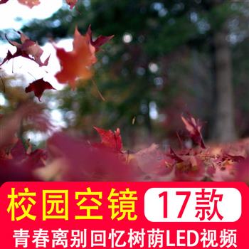 校园空镜头 大学校毕业图书馆青春离别回忆唯美树荫 mp4视频素材